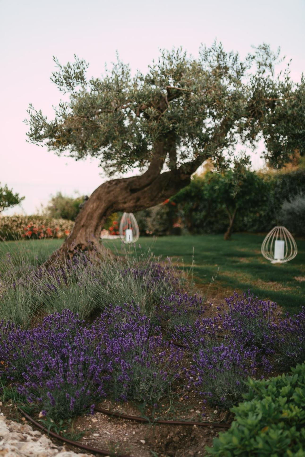 Baia Delphis Resort Васто Екстериор снимка